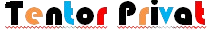logo tentor privat removebg preview (1)